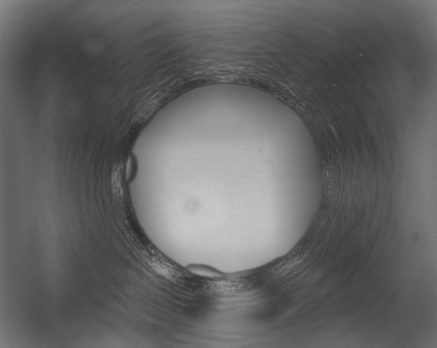 X0000054420286200507290934