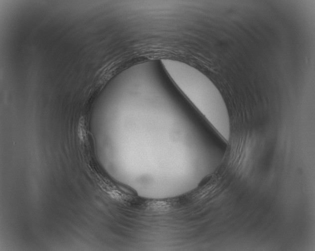 X0000054420287200507290934