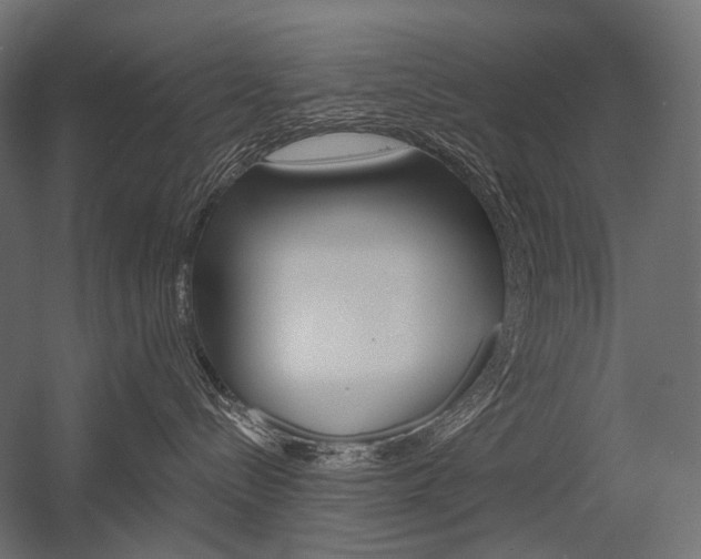 X0000054420288200507290934