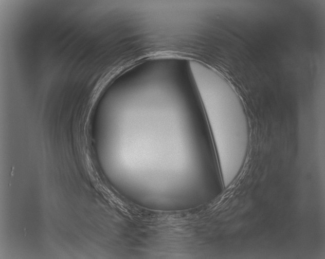 X0000054420289200507290933