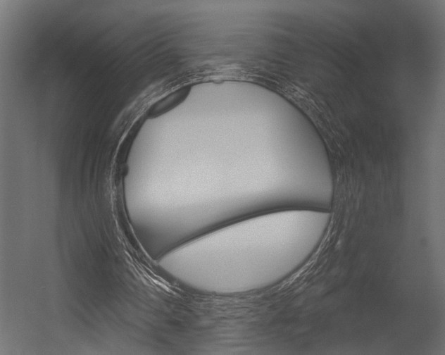 X0000054420290200507290933