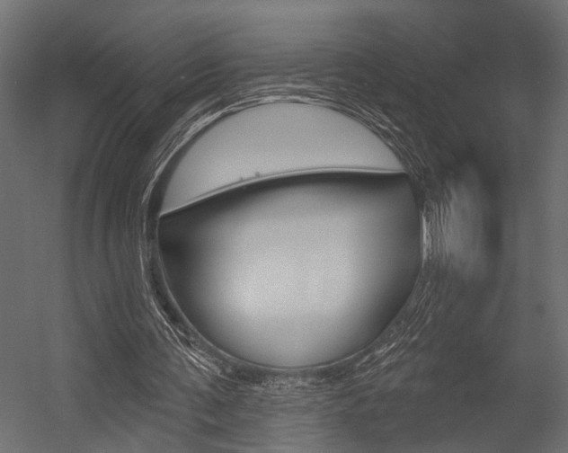 X0000054420291200507290933