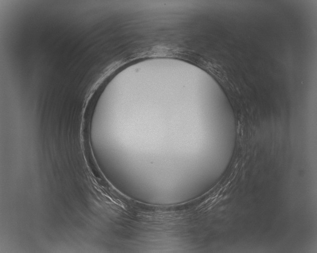 X0000054420292200507290933