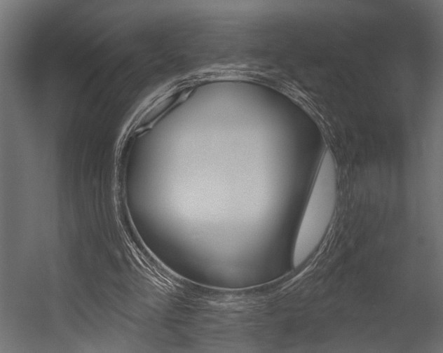 X0000054420293200507290933