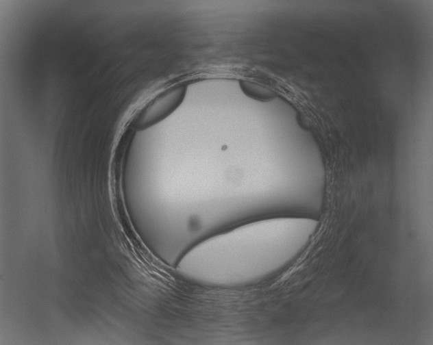 X0000054420294200507290933