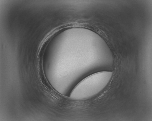 X0000054420295200507290933