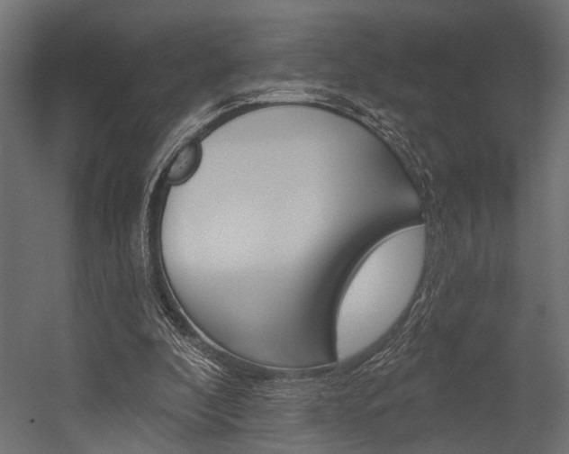 X0000054420296200507290933