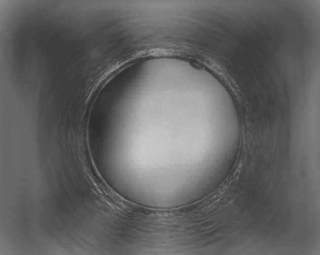 X0000054420297200507290933