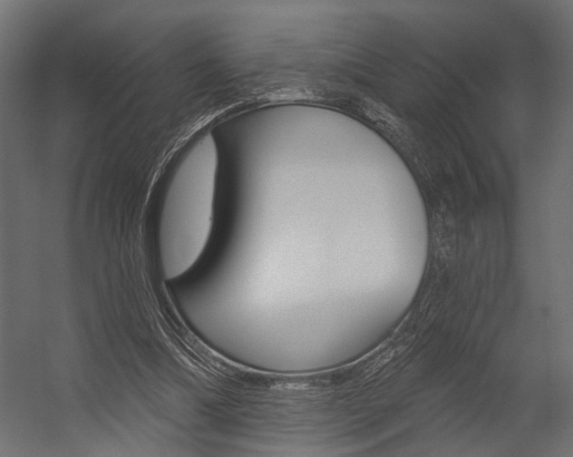 X0000054420298200507290933