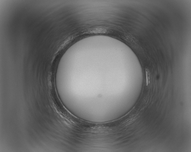 X0000054420300200507290933