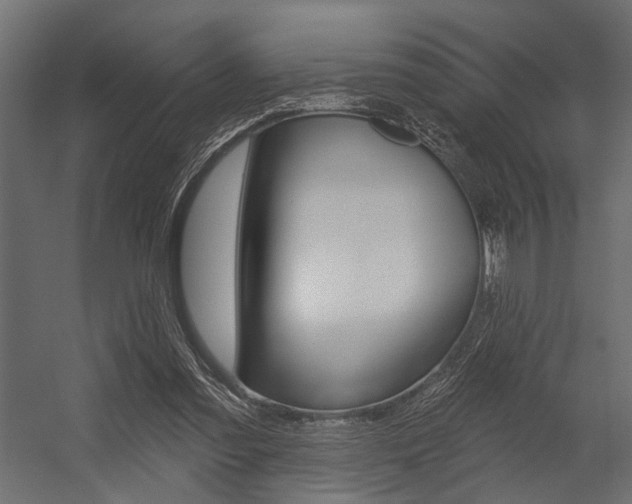 X0000054420301200507290933