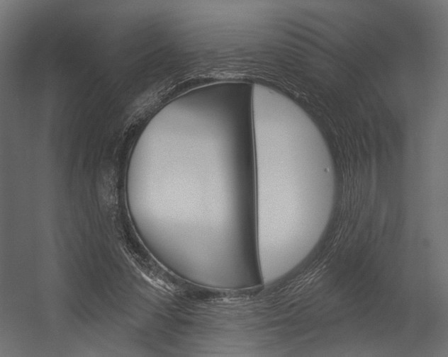 X0000054420303200507290933