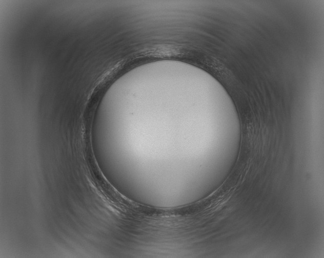 X0000054420304200507290933