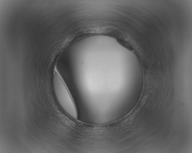 X0000054420305200507290933