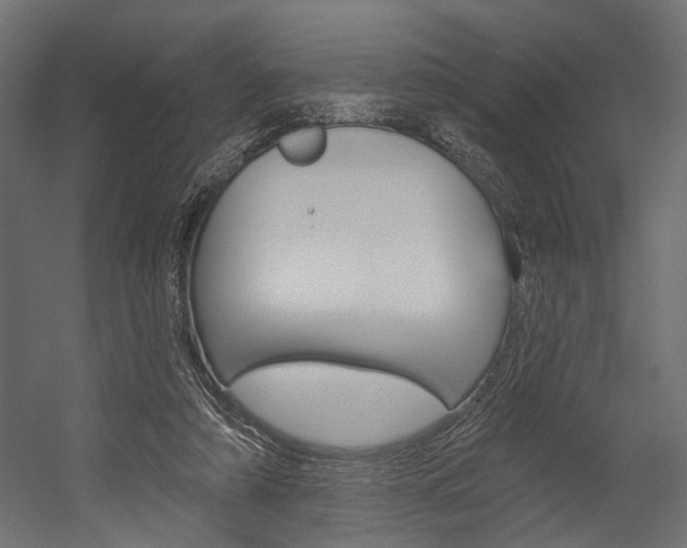 X0000054420306200507290933