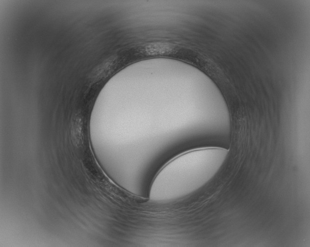 X0000054420308200507290933