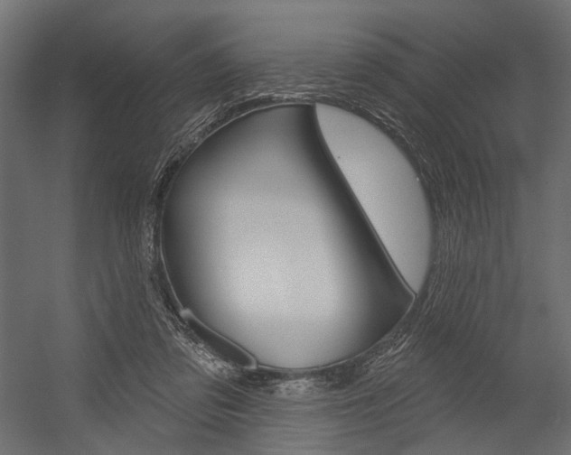 X0000054420309200507290933