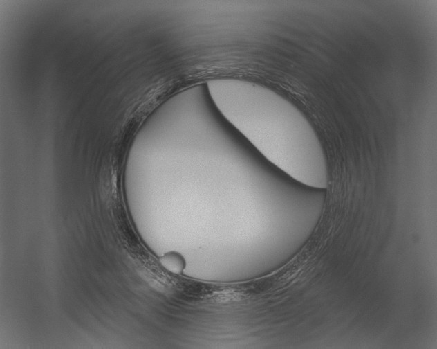 X0000054420310200507290933