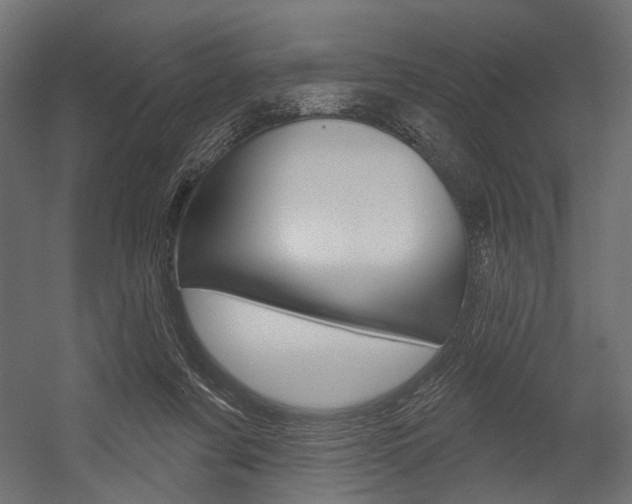 X0000054420311200507290933