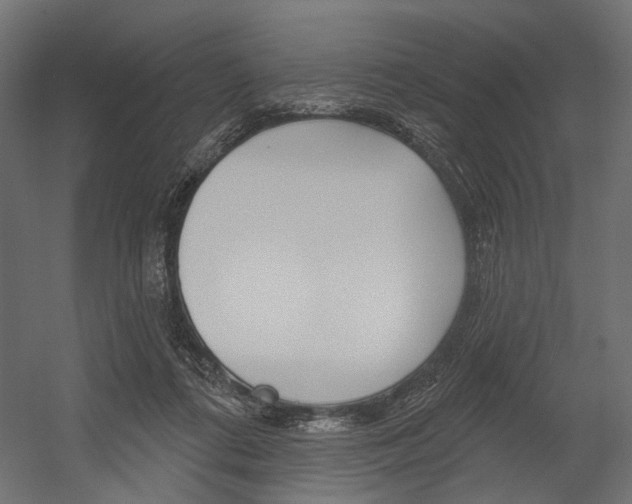 X0000054420312200507290933