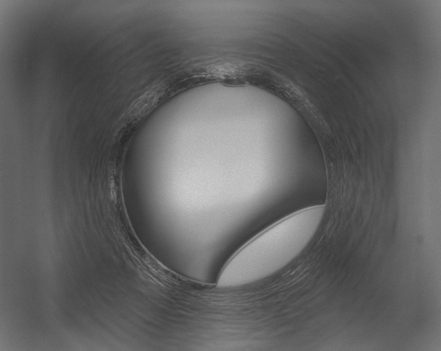 X0000054420313200507290933