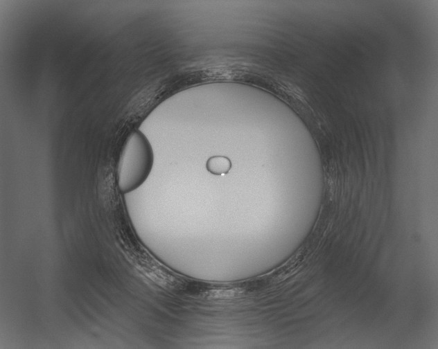 X0000054420314200507290933