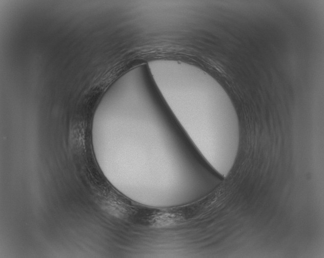 X0000054420315200507290933