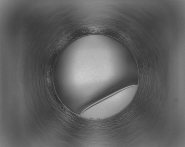 X0000054420317200507290933