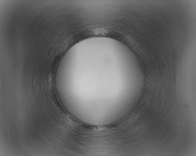 X0000054420321200507290932