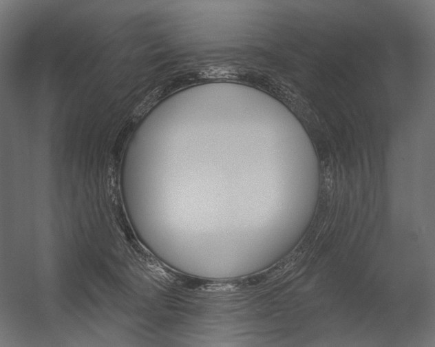 X0000054420322200507290932