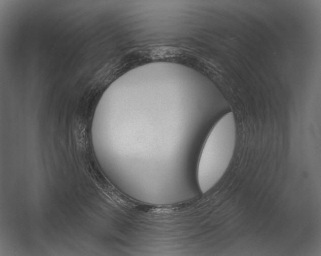 X0000054420327200507290932