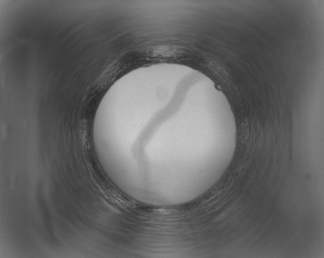 X0000054420328200507290932