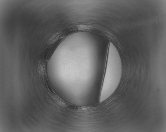 X0000054420329200507290932