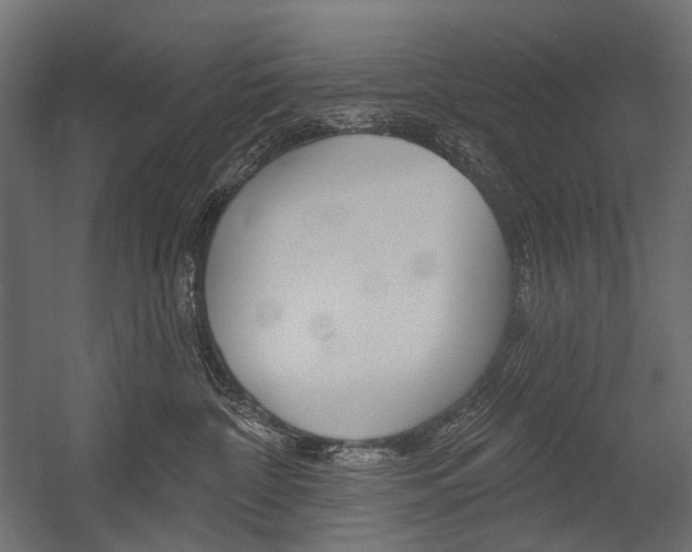 X0000054420332200507290932