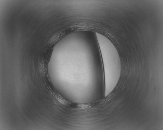 X0000054420333200507290932