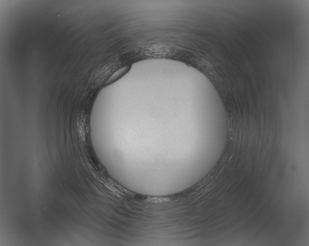 X0000054420334200507290932