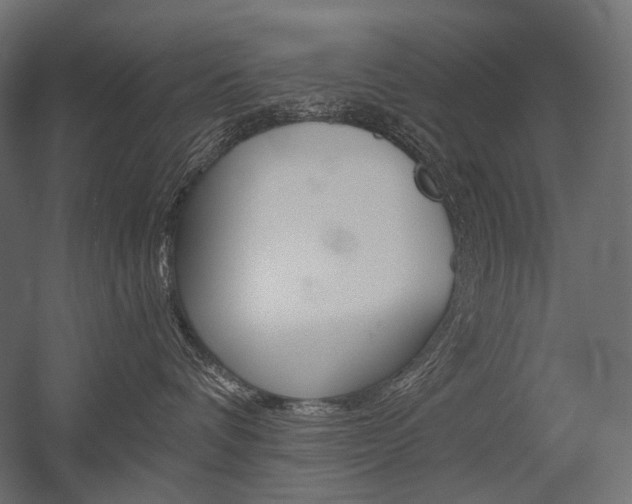 X0000054420336200507290932