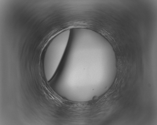 X0000054420338200507290931