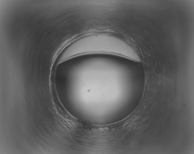 X0000054420340200507290931