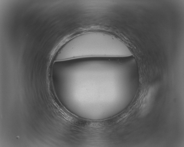 X0000054420341200507290931