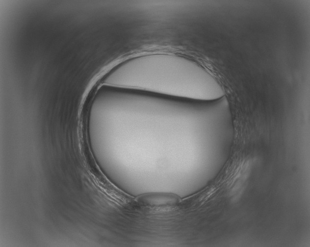 X0000054420342200507290931