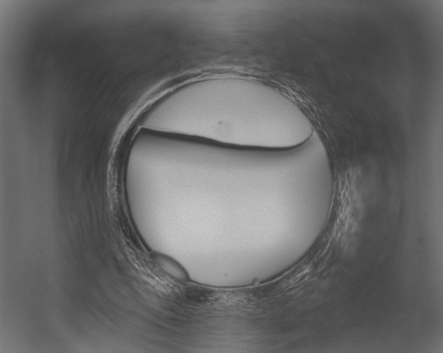 X0000054420343200507290931