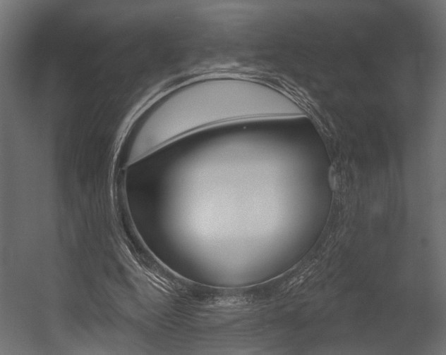 X0000054420344200507290931