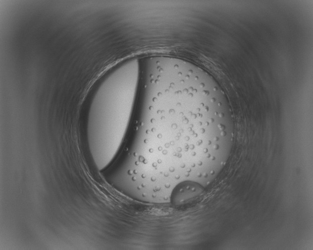 X0000054420346200507290932