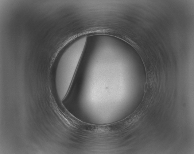 X0000054420350200507290932