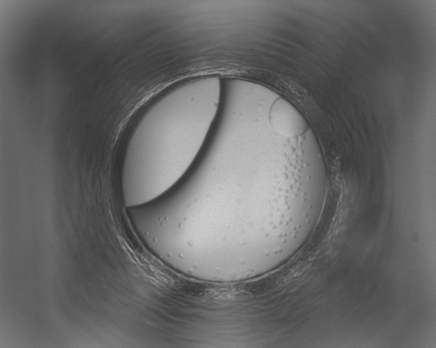 X0000054420351200507290932