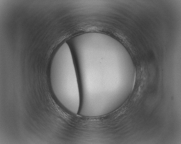 X0000054420353200507290932