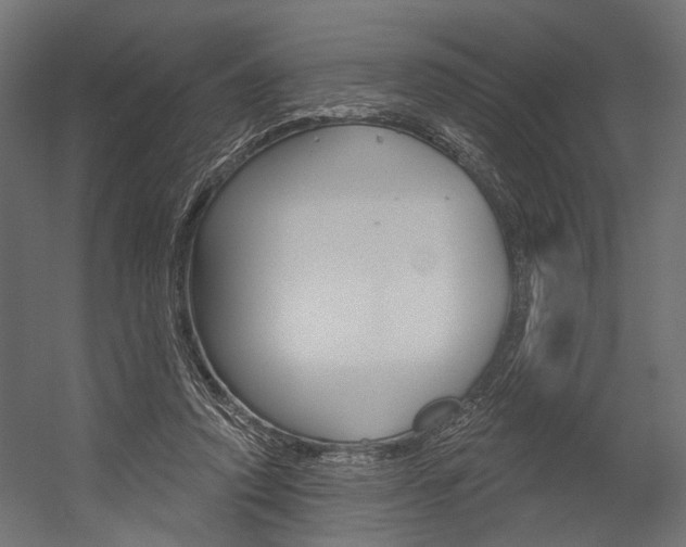 X0000054420354200507290932