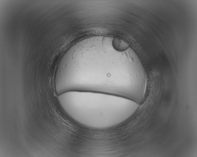 X0000054420355200507290932