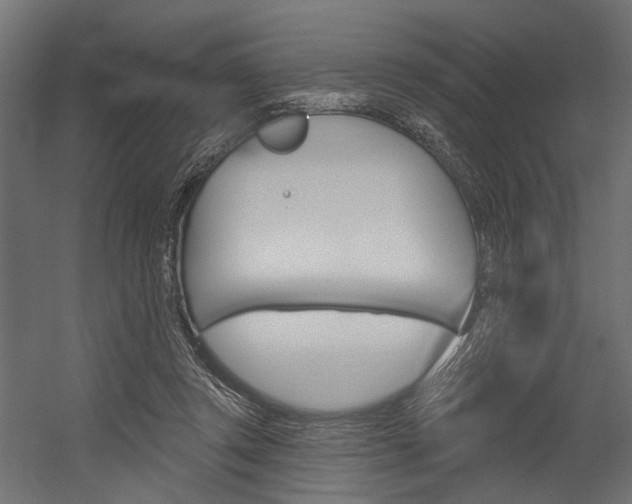 X0000054420357200507290932